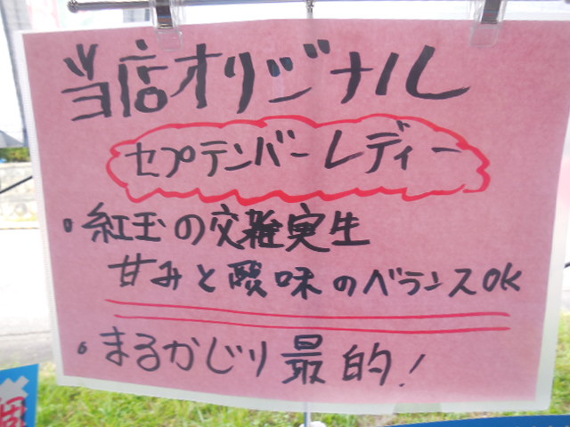 セプテンバーレディ 紹介