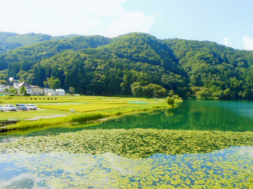 中綱湖の風景