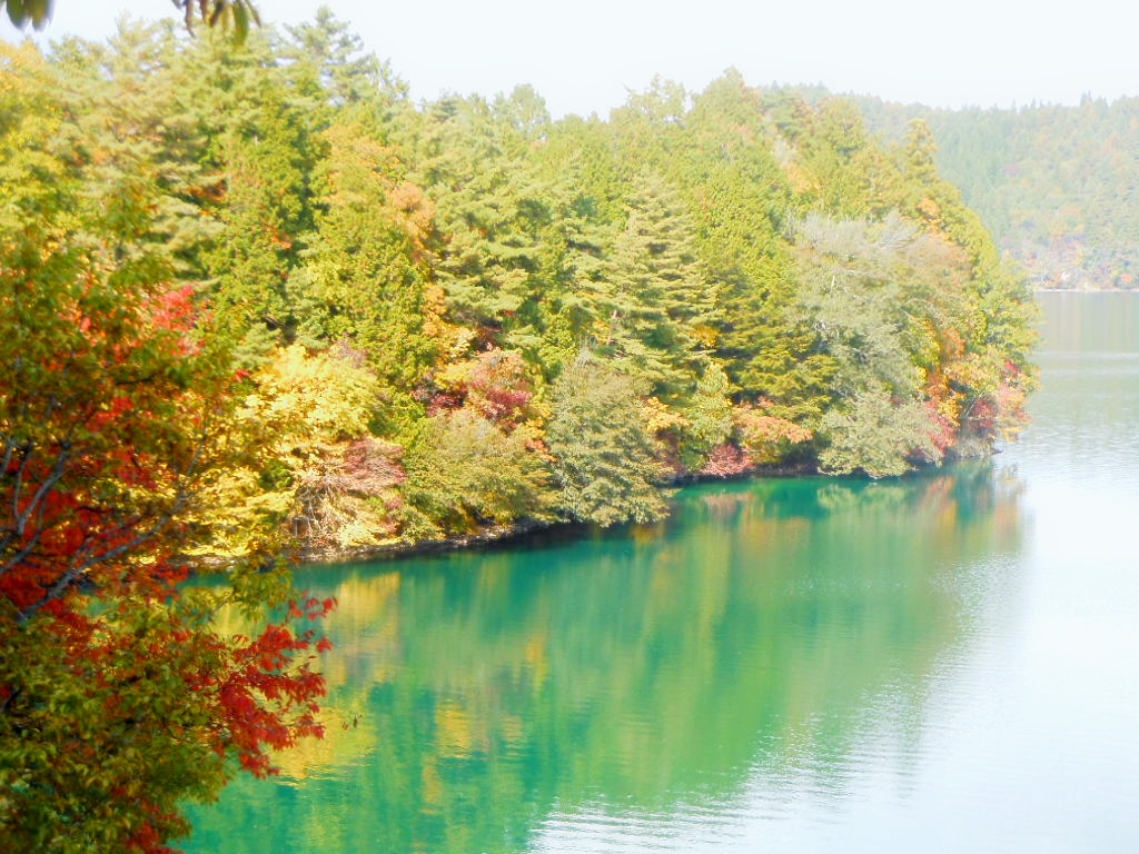 青木湖の紅葉