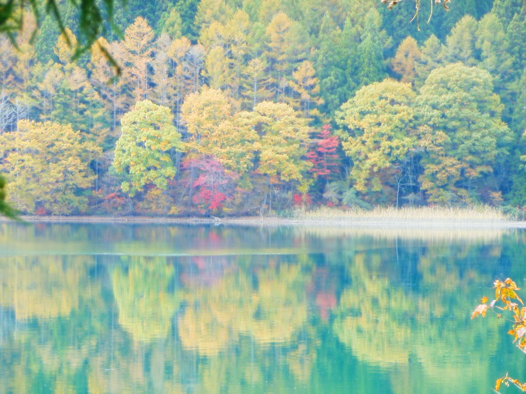 中綱湖の神秘的な紅葉